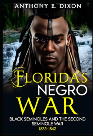 Florida’s Negro War