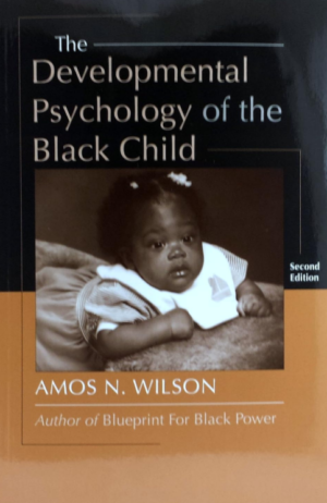 The Developmental Psychology of the Black Child